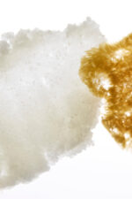 Renew & Glow Body Polish - Image 3