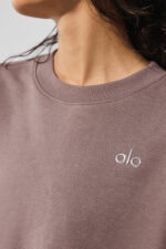 Accolade Crew Neck Pullover – Mushroom - Image 4