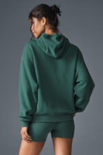 Accolade Hoodie – Winter Ivy - Image 2