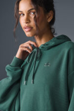 Accolade Hoodie – Winter Ivy - Image 3