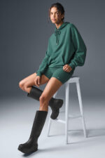 Accolade Hoodie – Winter Ivy - Image 4