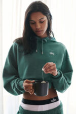 Accolade Hoodie – Winter Ivy - Image 5